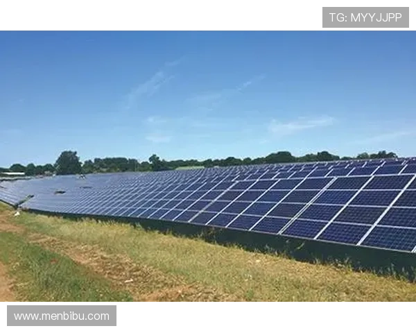 尊龙凯时质谱系统在生物医学研究中的应用与优势解析